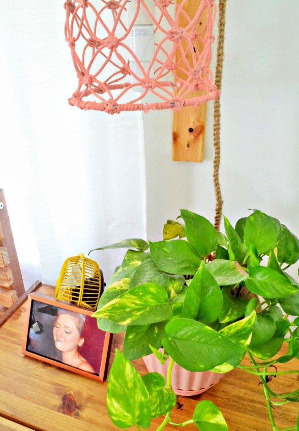 a desk with plant and Novelty-in-boho-bedrooms