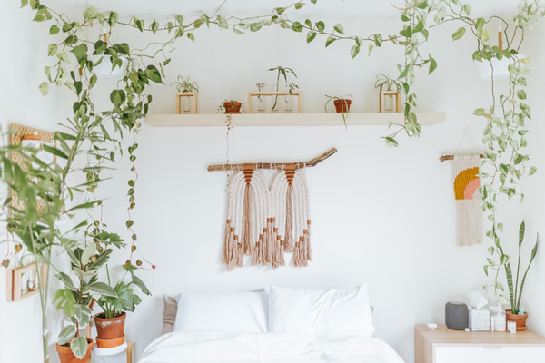 boho bedroom makeover on a budget  just with plants