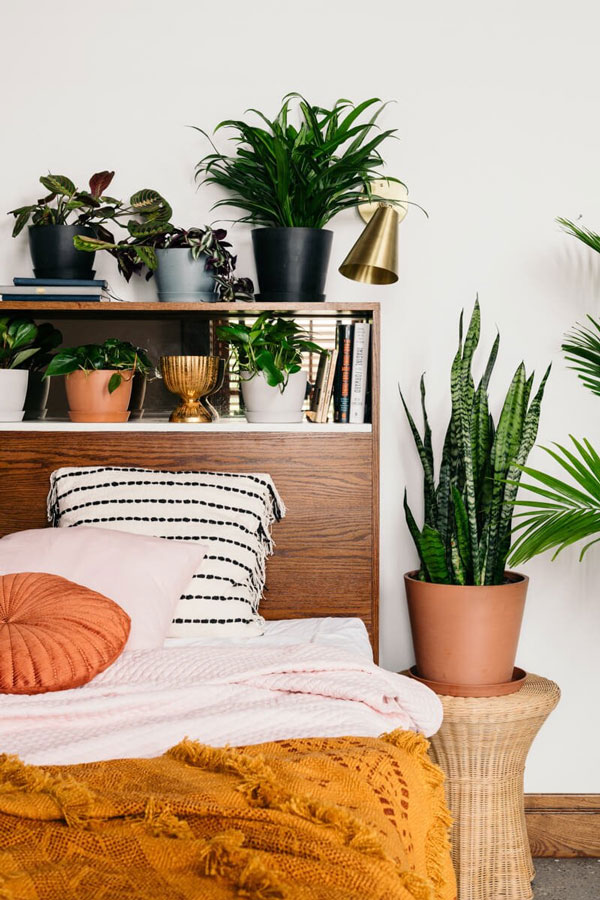 indoor-plants-boho-bedroom
