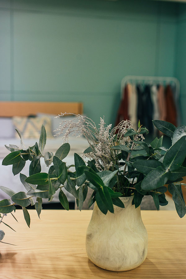 green plants in bedroom