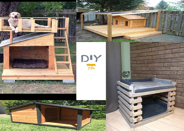 diy-dog-house