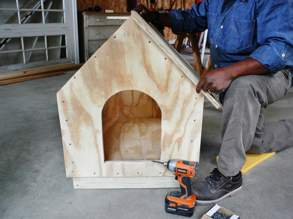 make-a-dog-house
