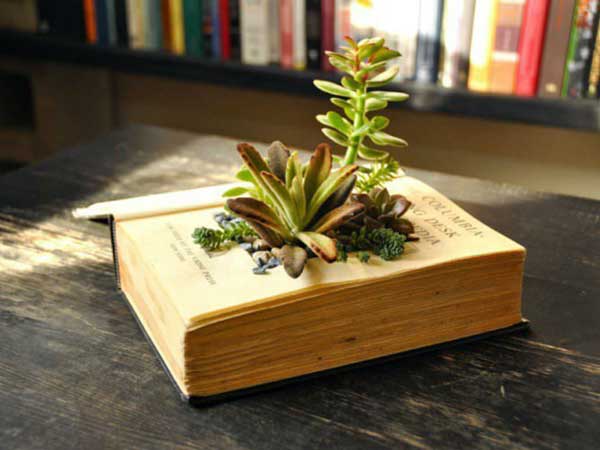 Use-books-instead-of-vases