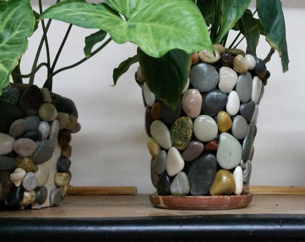 the-vase-with-stones